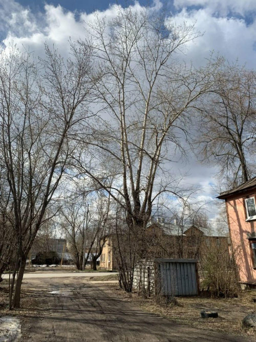 Продажа комнаты Афанасьева ул, 12