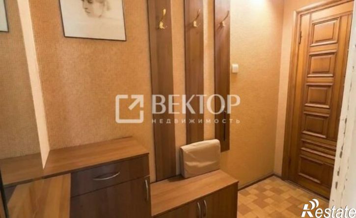 1-комн квартира ул Шубиных, 33,  д. 33