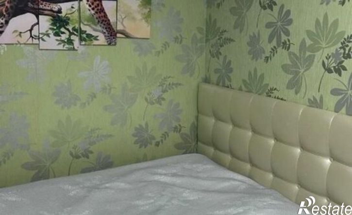 2-комн квартира улица Андрианова, 24,  д. 24