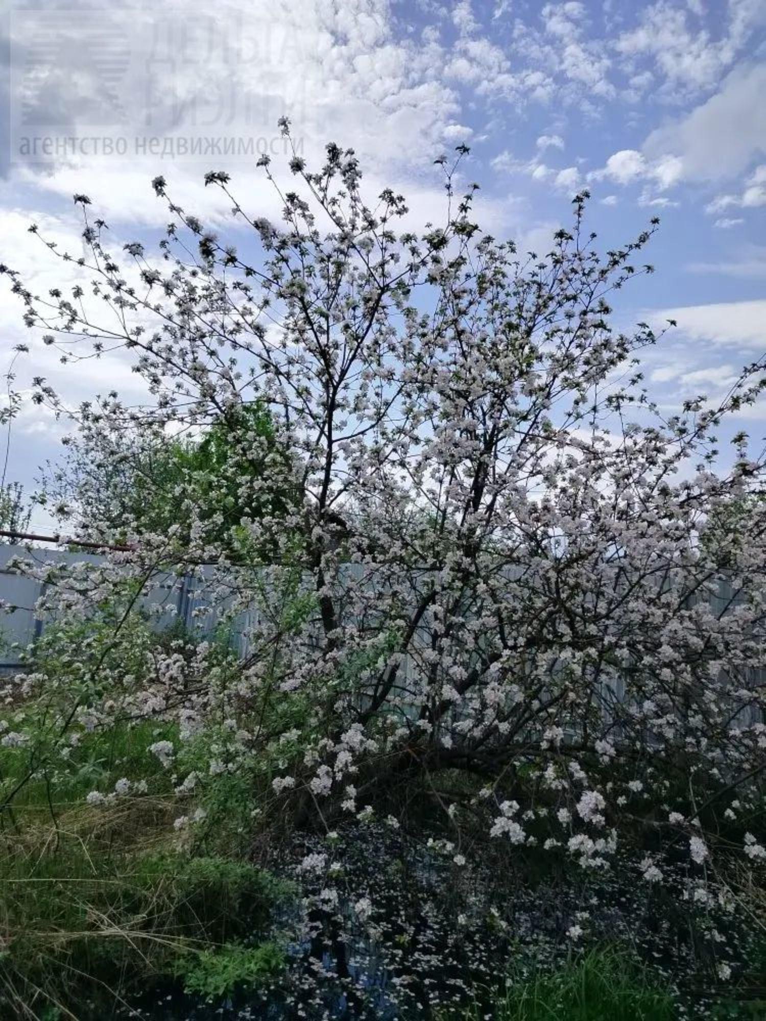 Купить дачу, дом, коттедж за 3 300 000 рублей на Стременная 2-я ул, 40