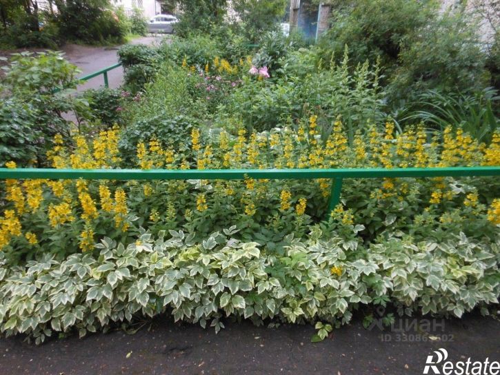 2-комн квартира ул Постышева, 50,  д. 50