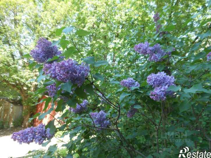 2-комн квартира ул Постышева, 50,  д. 50