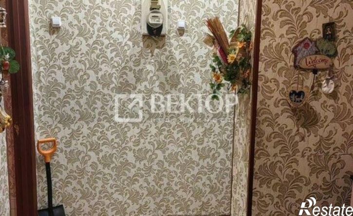 1-комн квартира ул 1-я Ключевая, 9,  д. 9
