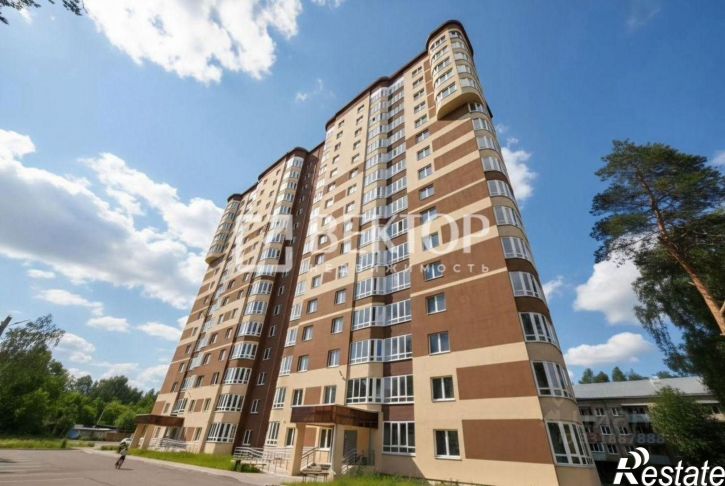 2-комн квартира ул Полка "Нормандия-Неман", 106 2,  д. 106 2,  к. 2