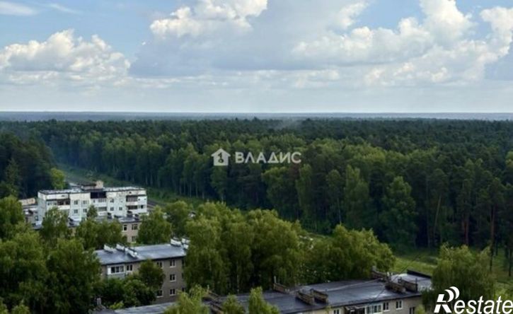 2-комн квартира ул Полка "Нормандия-Неман", 106 2,  д. 106 2,  к. 2