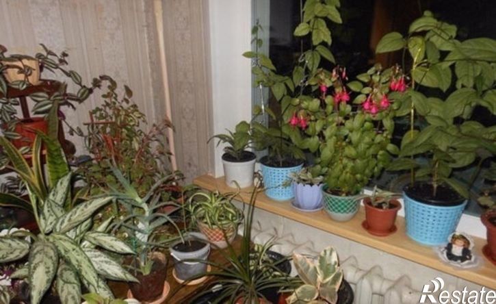 2-комн квартира ул Постышева, 50,  д. 50