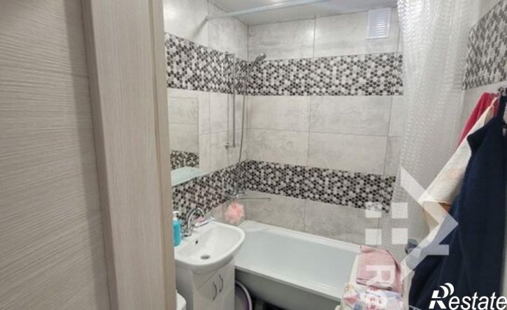 1-комн квартира ул Шубиных, 10,  д. 10