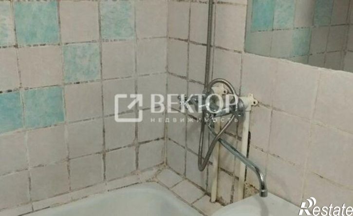 1-комн квартира ул Павла Большевикова, 9,  д. 9