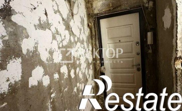 2-комн квартира улица Диановых, 10,  д. 10