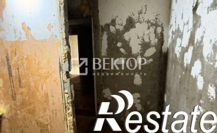 2-комн квартира улица Диановых, 10,  д. 10