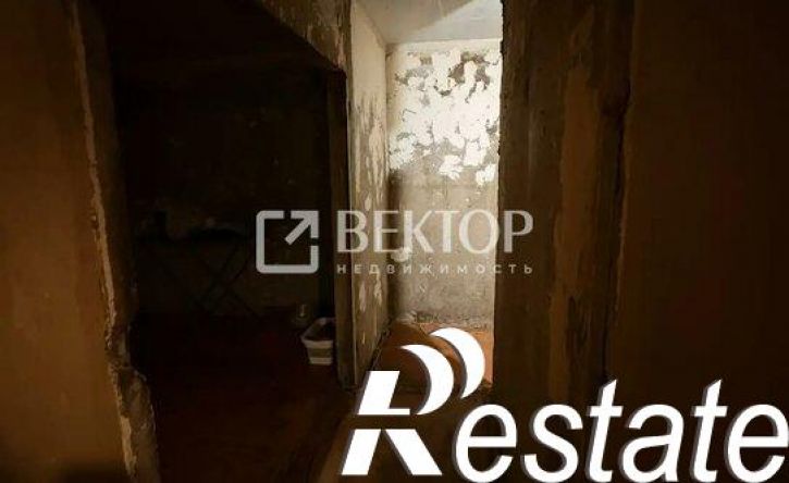 2-комн квартира улица Диановых, 10,  д. 10